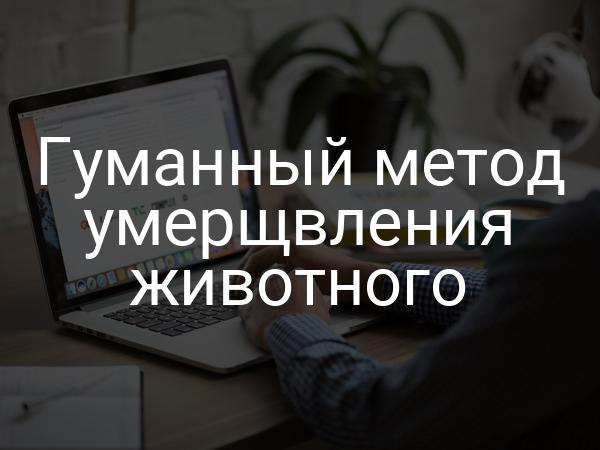 Гуманный метод умерщвления животного