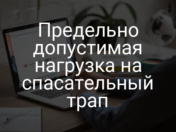 Предельно допустимая нагрузка на спасательный трап