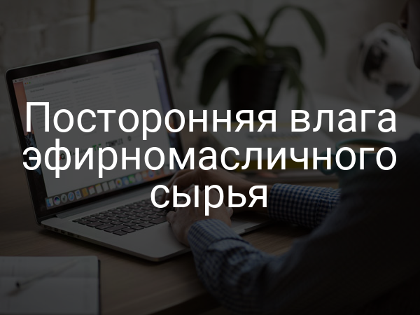 Посторонняя влага эфирномасличного сырья