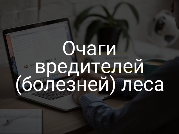 Очаги вредителей (болезней) леса