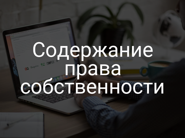 Содержание права собственности