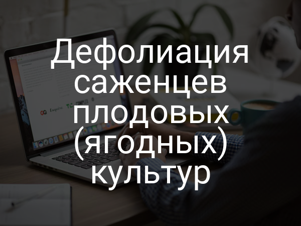 Дефолиация саженцев плодовых (ягодных) культур