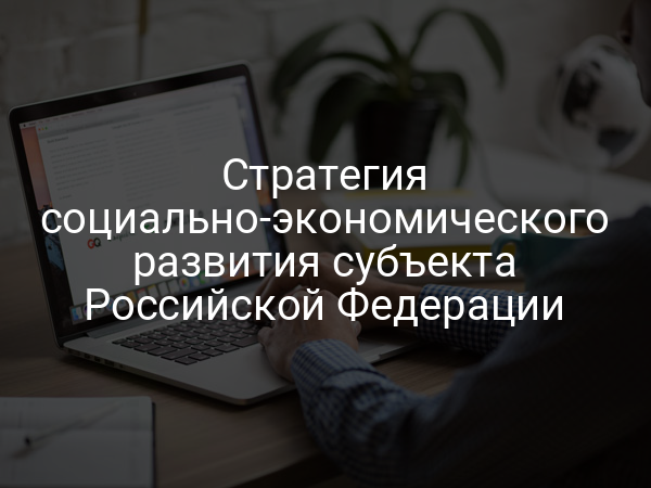 Стратегия социально-экономического развития субъекта Российской Федерации