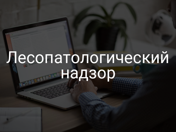 Лесопатологический надзор
