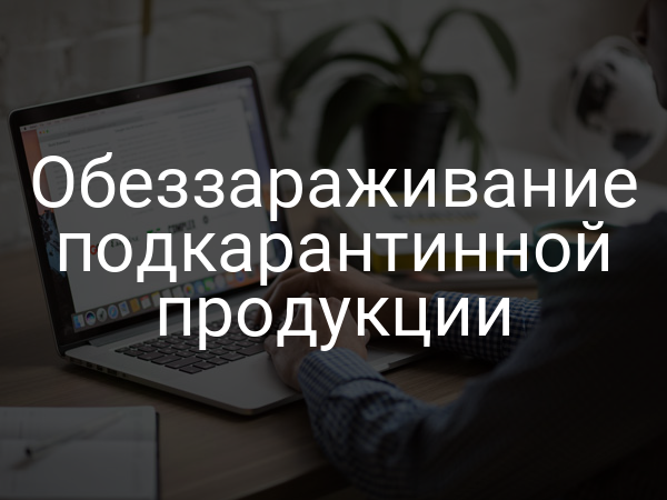 Обеззараживание подкарантинной продукции