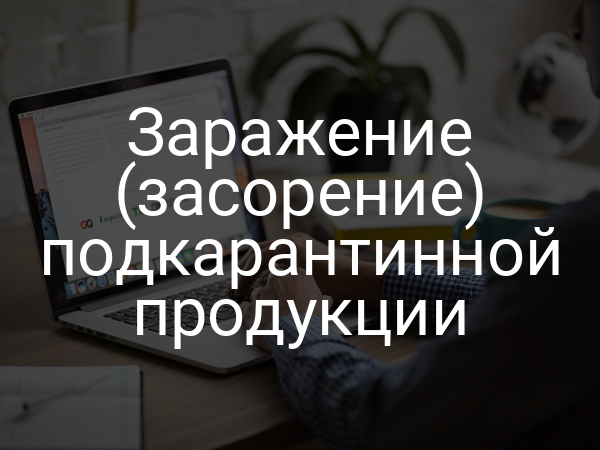 Заражение (засорение) подкарантинной продукции