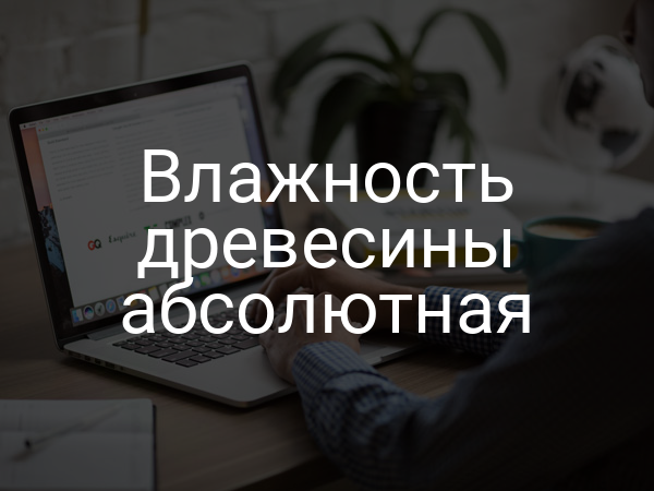 Влажность древесины абсолютная