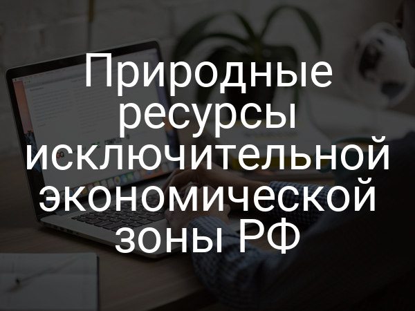 Природные ресурсы исключительной экономической зоны РФ