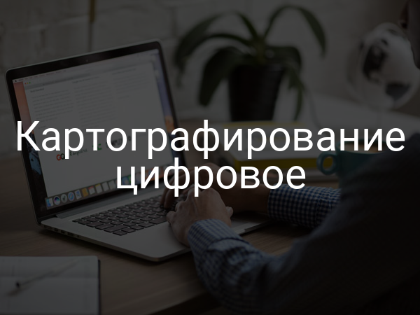 Картографирование цифровое