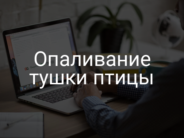 Опаливание тушки птицы