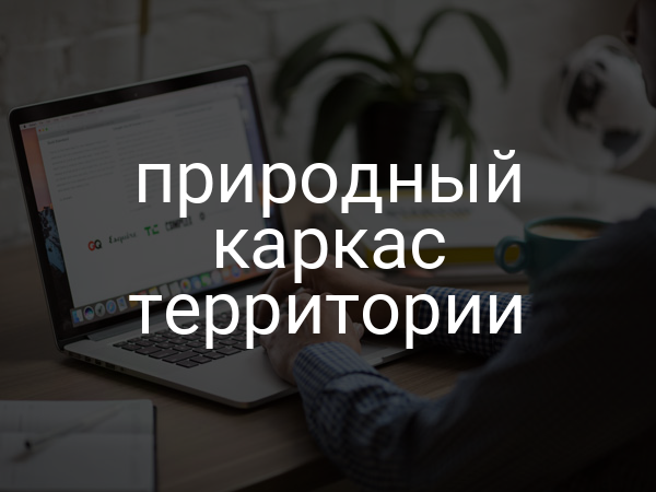 Природный каркас территории