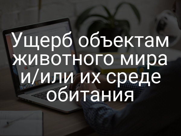 Ущерб объектам животного мира и/или их среде обитания
