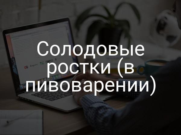 Солодовые ростки (в пивоварении)