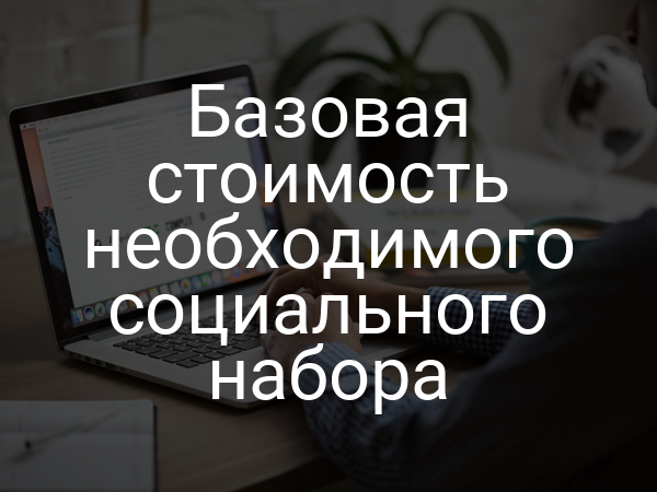 Базовая стоимость необходимого социального набора