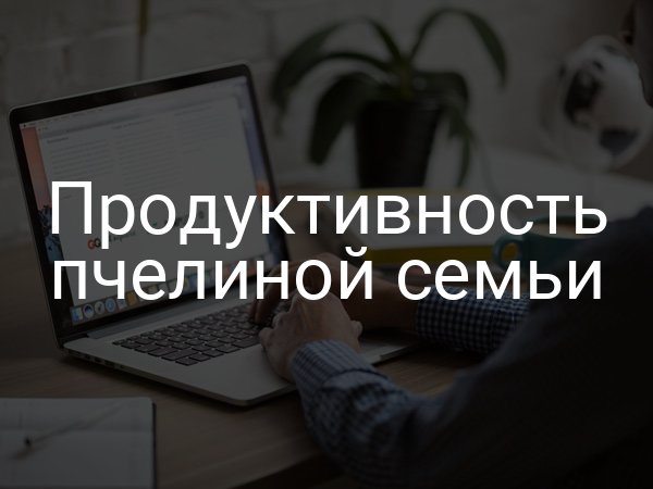 Продуктивность пчелиной семьи