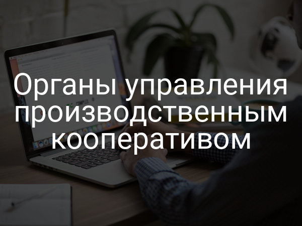 Органы управления производственным кооперативом