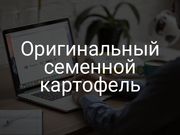 Оригинальный семенной картофель