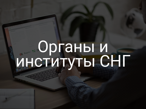 Органы и институты СНГ