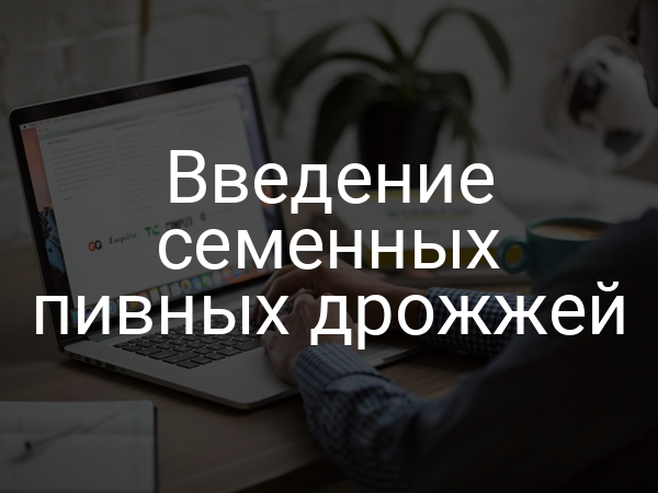 Введение семенных пивных дрожжей