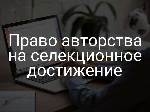 Право авторства на селекционное достижение