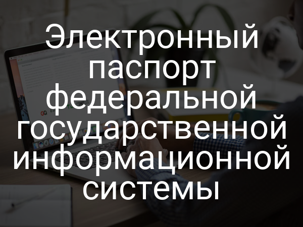Электронный паспорт федеральной государственной информационной системы
