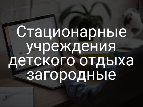 Стационарные учреждения детского отдыха загородные