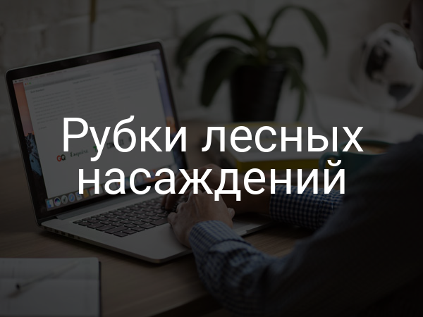 Рубки лесных насаждений