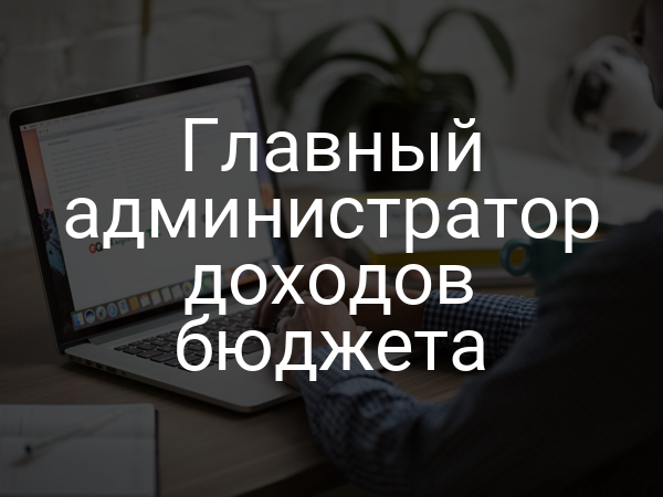 Главный администратор доходов бюджета