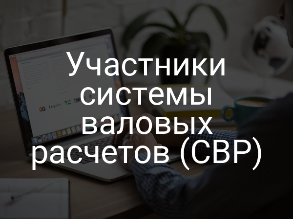 Участники системы валовых расчетов (СВР)