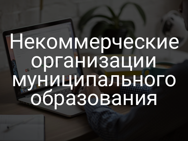 Некоммерческие организации муниципального образования