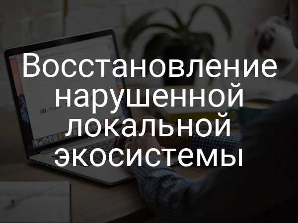 Восстановление нарушенной локальной экосистемы