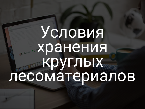 Условия хранения круглых лесоматериалов