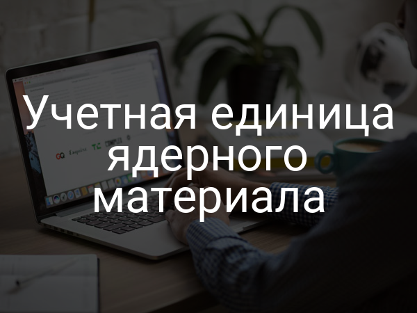 Учетная единица ядерного материала