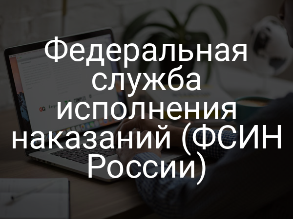 Федеральная служба исполнения наказаний (ФСИН России)