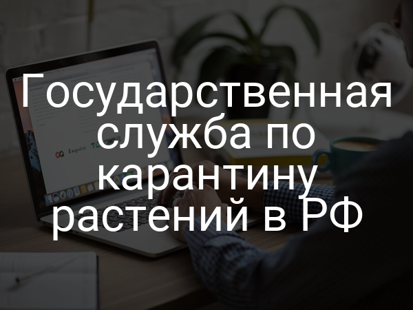 Государственная служба по карантину растений в РФ