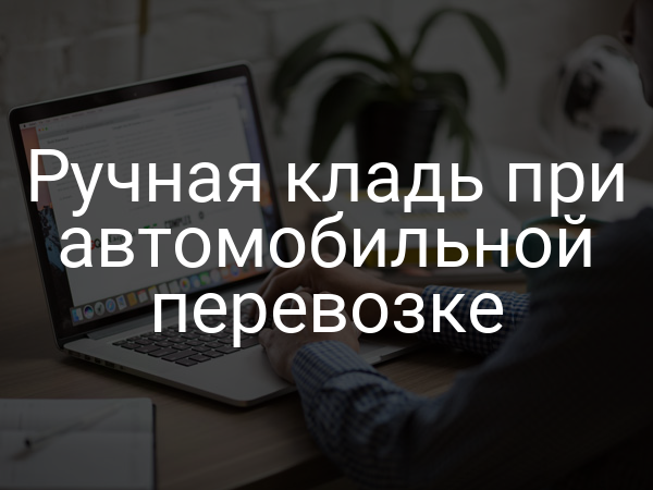 Ручная кладь при автомобильной перевозке