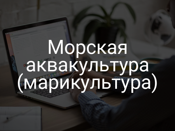 Морская аквакультура (марикультура)
