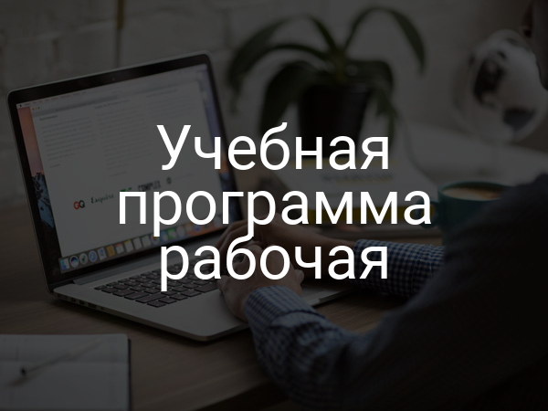 Учебная программа рабочая