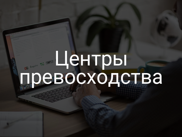 Центры превосходства