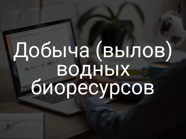 Добыча (вылов) водных биоресурсов