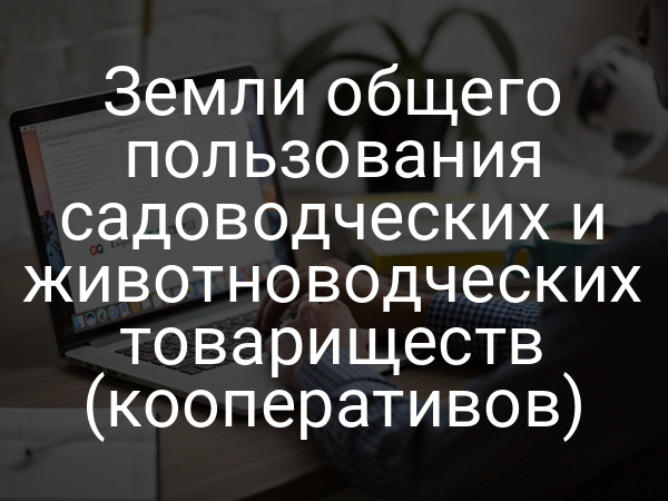 Земли общего пользования садоводческих и животноводческих товариществ (кооперативов)