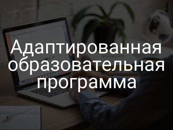 Адаптированная образовательная программа