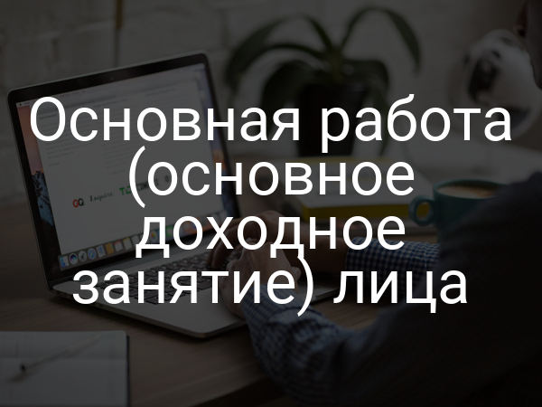 Основная работа (основное доходное занятие) лица