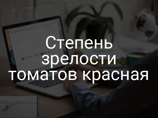Степень зрелости томатов красная