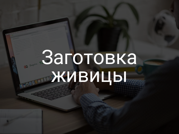 Заготовка живицы