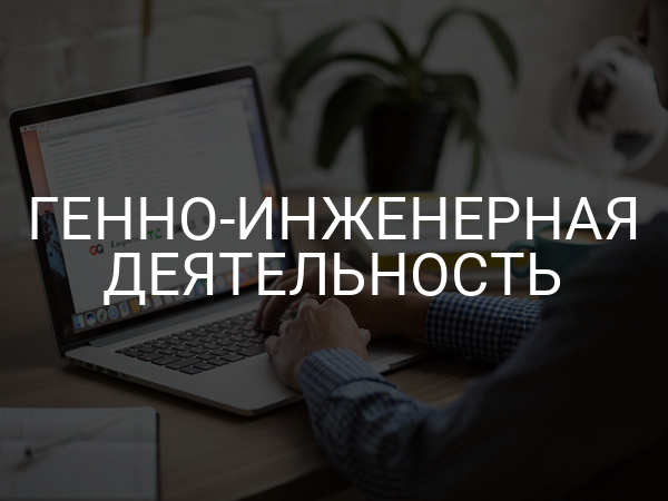 Генно-инженерная деятельность