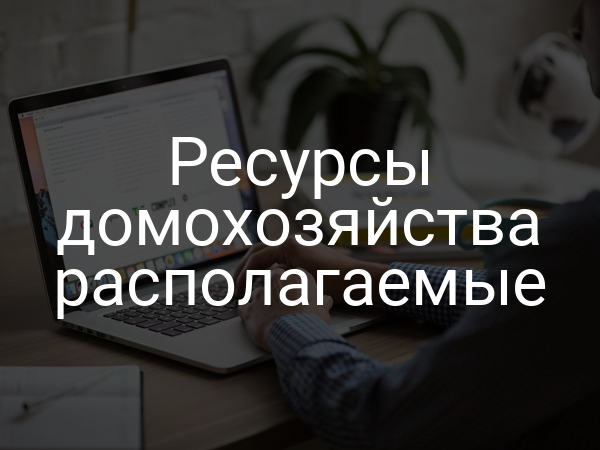Ресурсы домохозяйства располагаемые