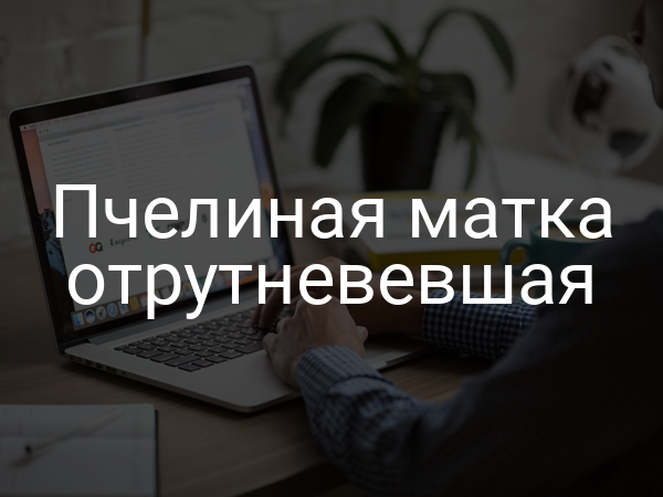 Пчелиная матка отрутневевшая