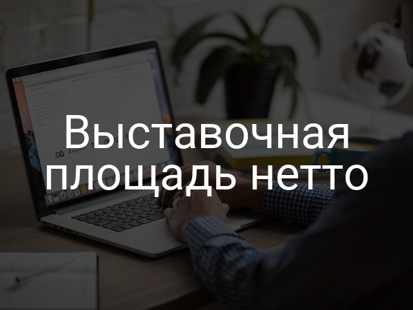 Выставочная площадь нетто