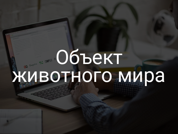 Объект животного мира